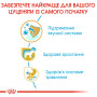 Royal Canin Jack Russell Terrier Puppy – сухий корм для цуценят породи джек-рассел-тер'єр, 1.5 кг