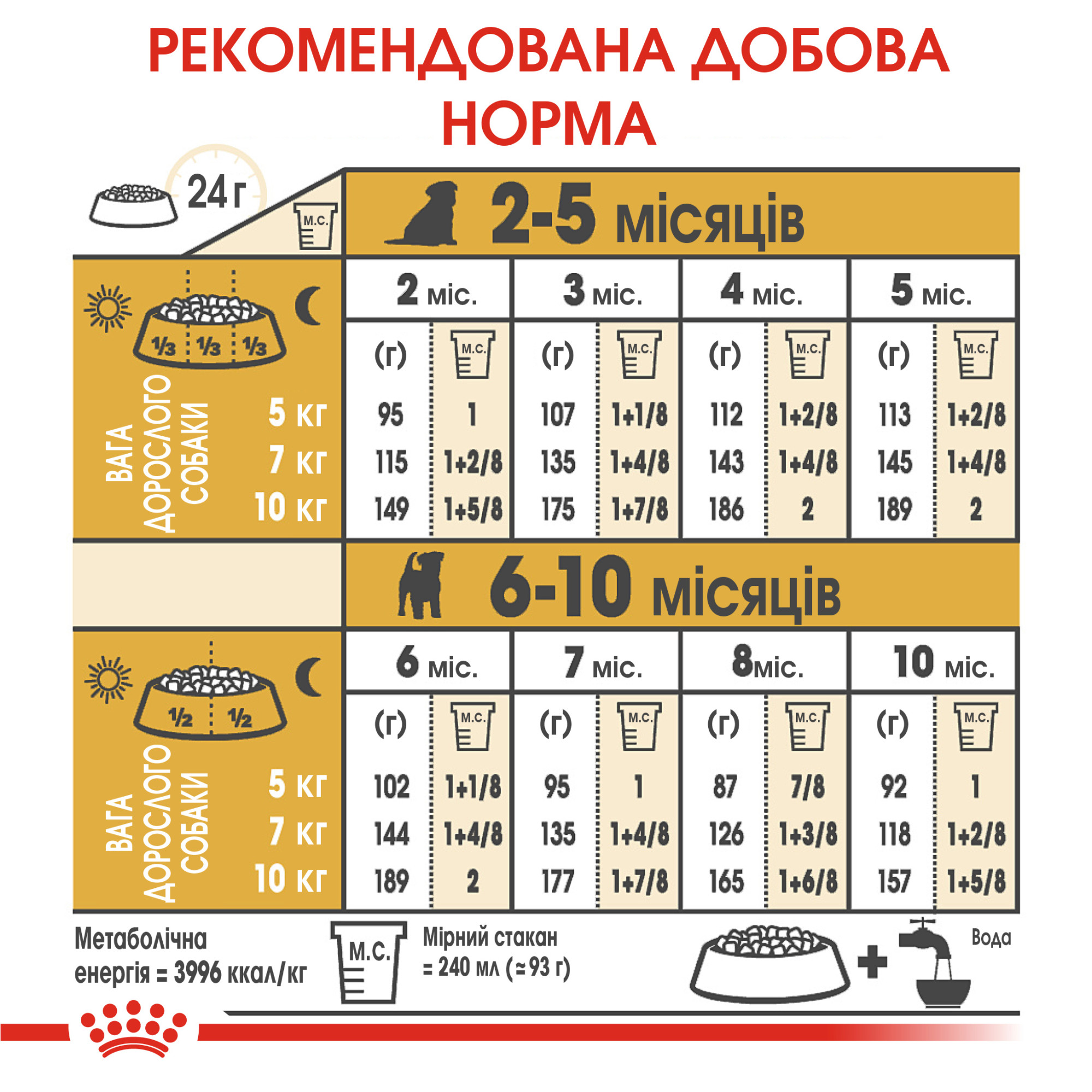 Royal Canin Jack Russell Terrier Puppy – сухий корм для цуценят породи джек-рассел-тер'єр, 1.5 кг