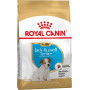 Royal Canin Jack Russell Terrier Puppy – сухий корм для цуценят породи джек-рассел-тер'єр, 1.5 кг