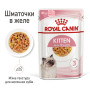 Royal Canin Kitten Instinctive в желе – вологий корм для кошенят віком від 4 до 12 місяців, 85 г
