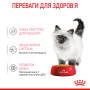 Royal Canin Kitten Instinctive в желе – вологий корм для кошенят віком від 4 до 12 місяців, 85 г