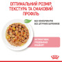 Royal Canin Kitten Instinctive в желе – вологий корм для кошенят віком від 4 до 12 місяців, 85 г