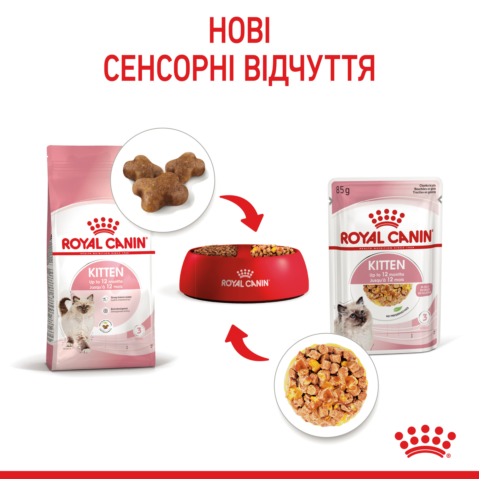 Royal Canin Kitten Instinctive в желе – вологий корм для кошенят віком від 4 до 12 місяців, 85 г