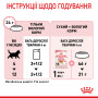 Royal Canin Kitten Instinctive в желе – вологий корм для кошенят віком від 4 до 12 місяців, 85 г
