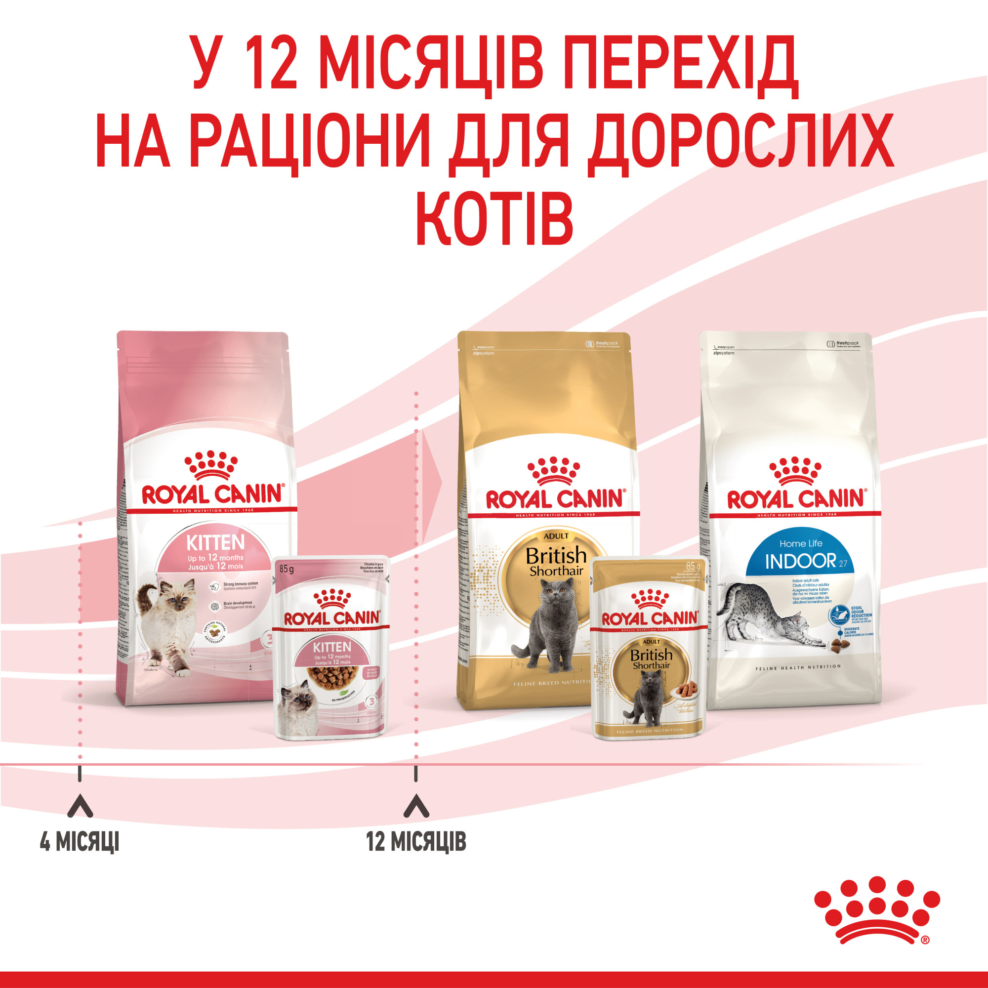 Royal Canin Kitten Instinctive в соусі – вологий корм для кошенят віком від 4 до 12 місяців, 85 г