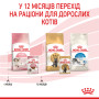 Royal Canin Kitten Instinctive в соусі – вологий корм для кошенят віком від 4 до 12 місяців, 85 г
