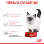 Royal Canin Kitten Instinctive в соусі – вологий корм для кошенят віком від 4 до 12 місяців, 85 г
