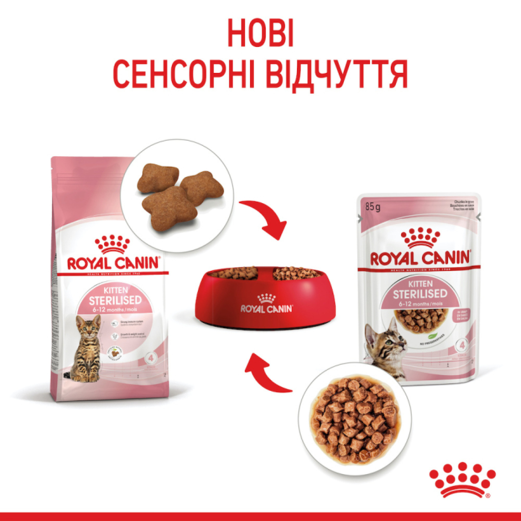 Royal Canin Kitten Sterilised в соусі для кошенят, 85 г