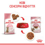 Royal Canin Kitten Sterilised в соусі для кошенят, 85 г