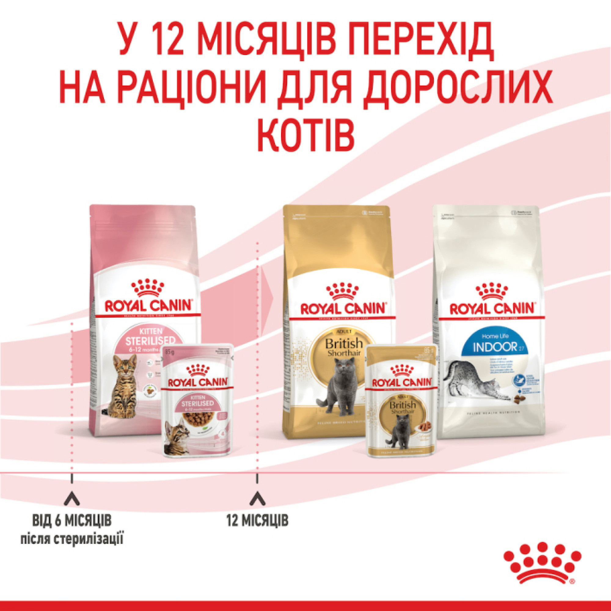 Royal Canin Kitten Sterilised в соусі для кошенят, 85 г