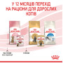 Royal Canin Kitten Sterilised в соусі для кошенят, 85 г