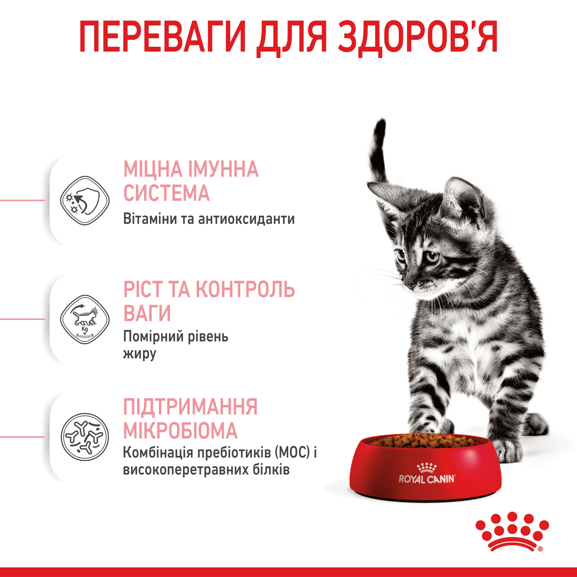 Royal Canin Kitten Sterilised – сухий корм для стерилізованих кошенят віком від 6 до 12 місяців, 2 кг