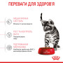 Royal Canin Kitten Sterilised – сухий корм для стерилізованих кошенят віком від 6 до 12 місяців, 2 кг