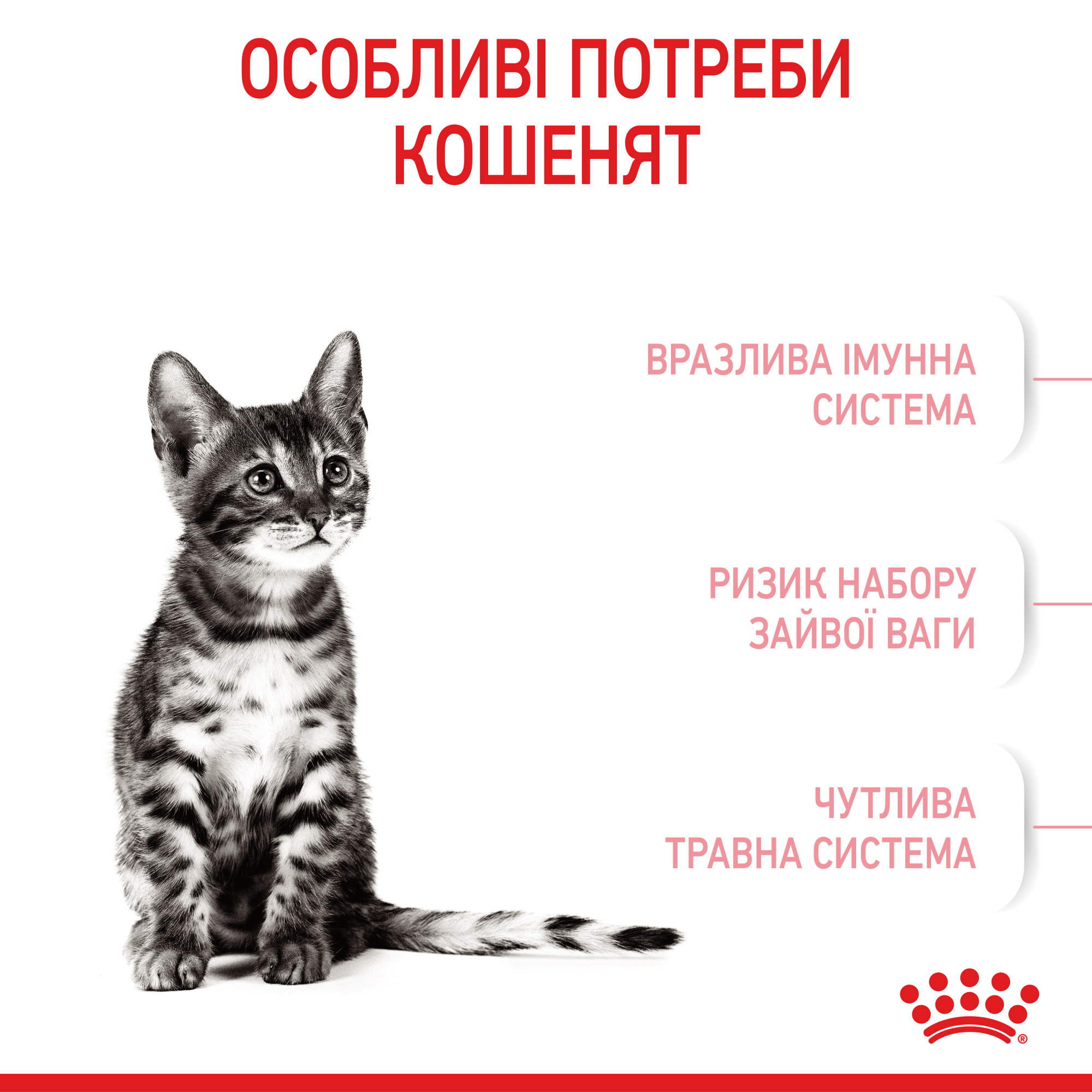 Royal Canin Kitten Sterilised – сухий корм для стерилізованих кошенят віком від 6 до 12 місяців, 2 кг