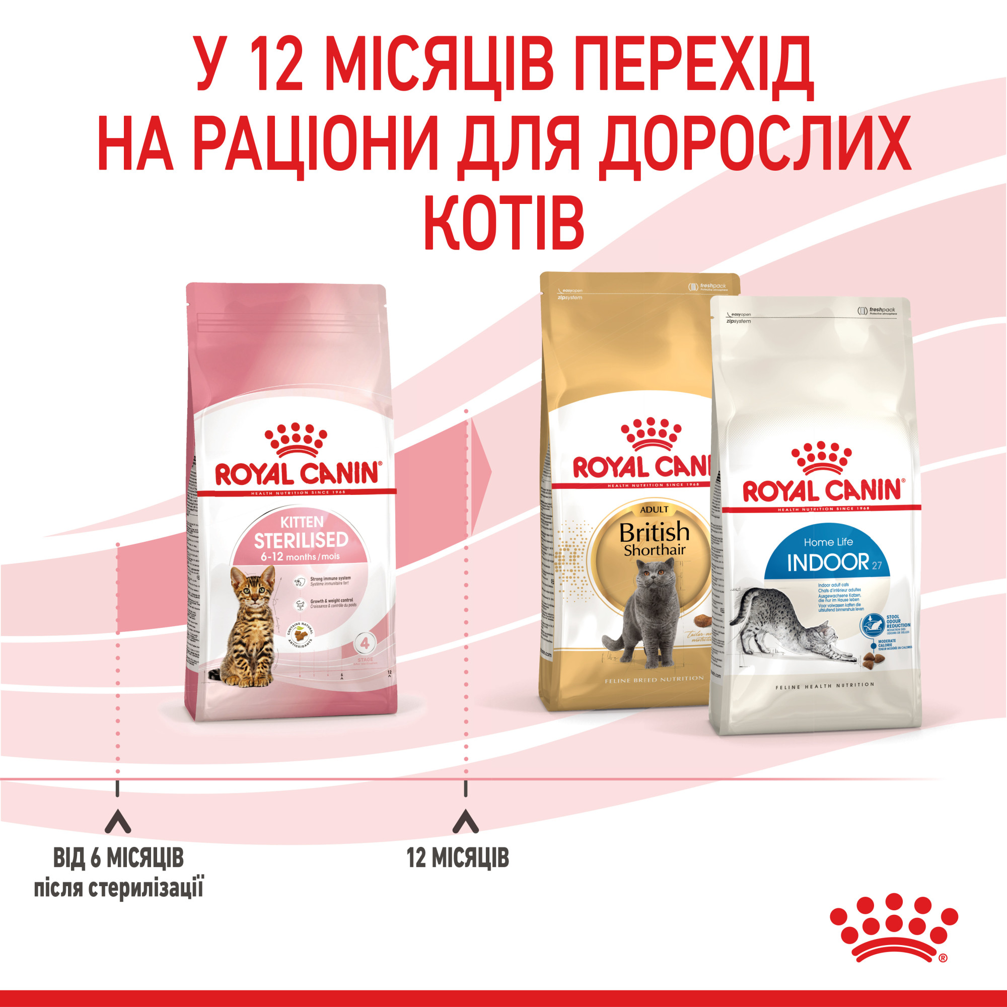 Royal Canin Kitten Sterilised – сухий корм для стерилізованих кошенят віком від 6 до 12 місяців, 2 кг
