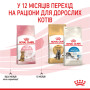 Royal Canin Kitten Sterilised – сухий корм для стерилізованих кошенят віком від 6 до 12 місяців, 2 кг