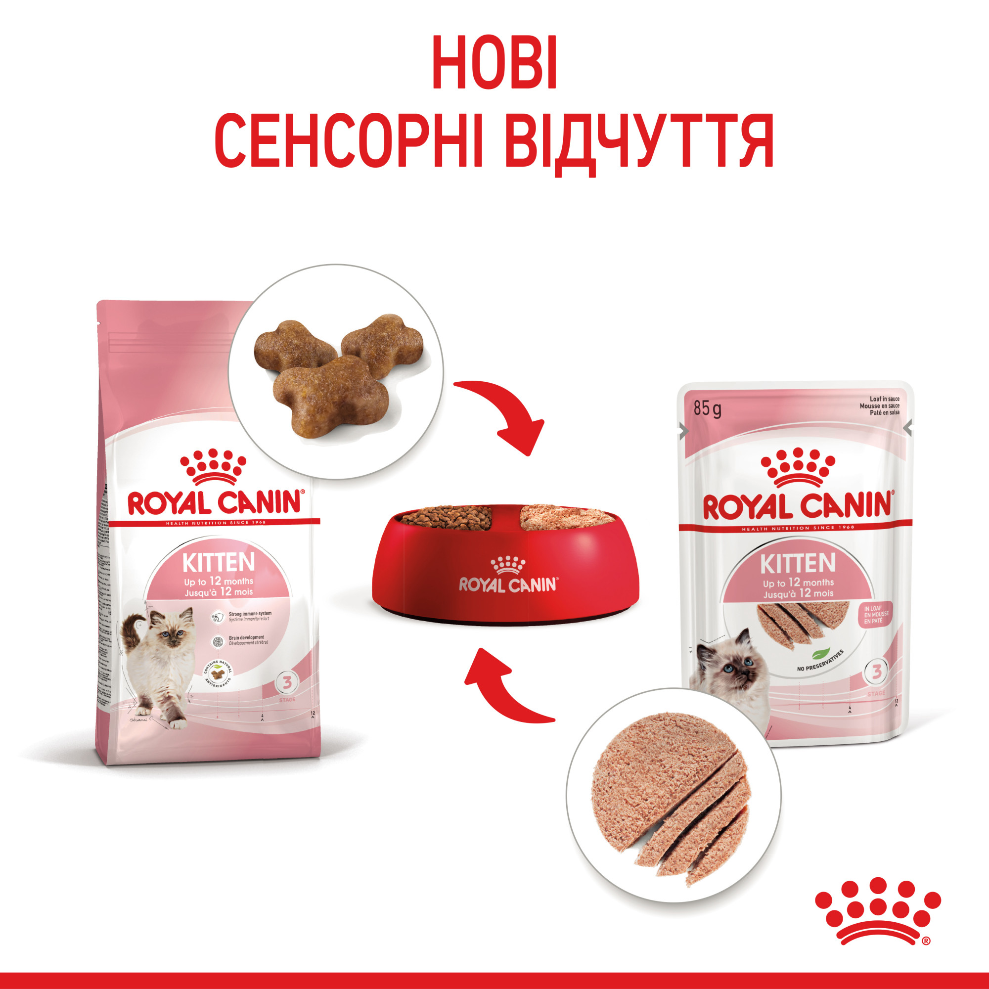 Royal Canin Kitten Loaf – вологий корм-паштет для кошенят віком від 4 до 12 місяців, 85 г