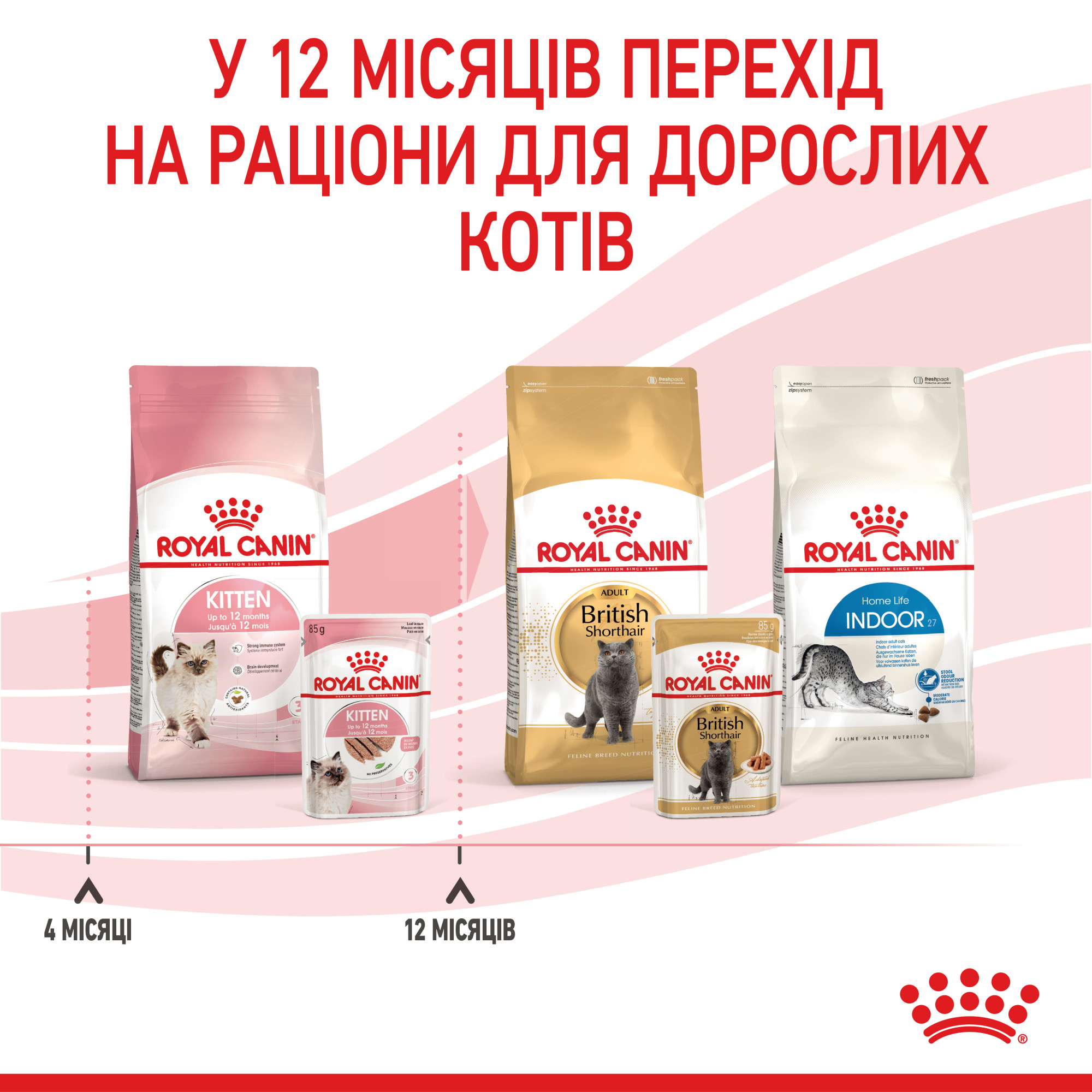 Royal Canin Kitten Loaf – вологий корм-паштет для кошенят віком від 4 до 12 місяців, 85 г