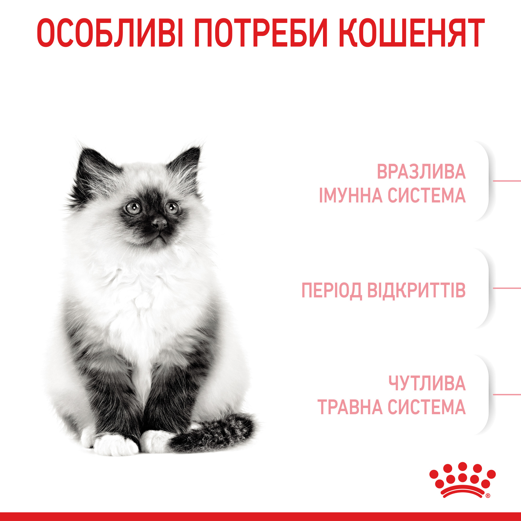 Royal Canin Kitten – сухий корм для кошенят віком від 4 до 12 місяців, 4 кг