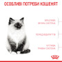 Royal Canin Kitten – сухий корм для кошенят віком від 4 до 12 місяців, 4 кг