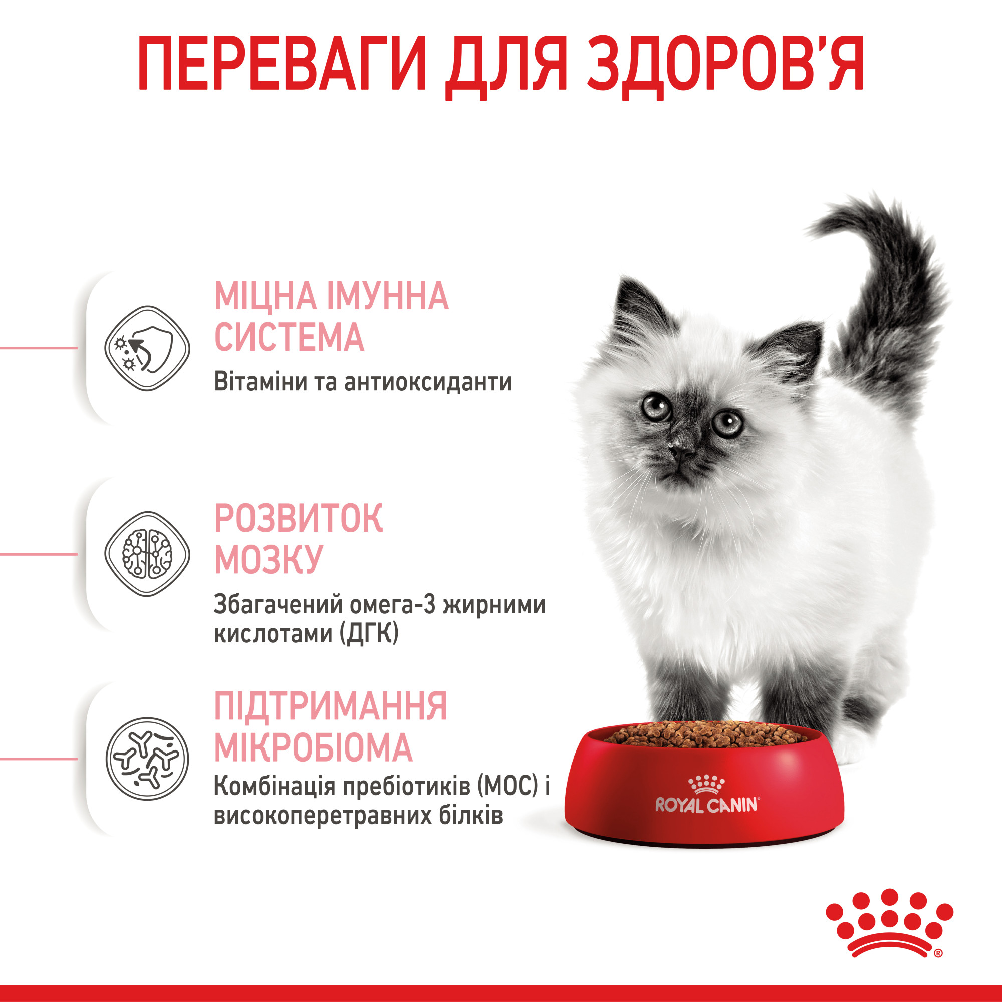 Royal Canin Kitten – сухий корм для кошенят віком від 4 до 12 місяців, 4 кг