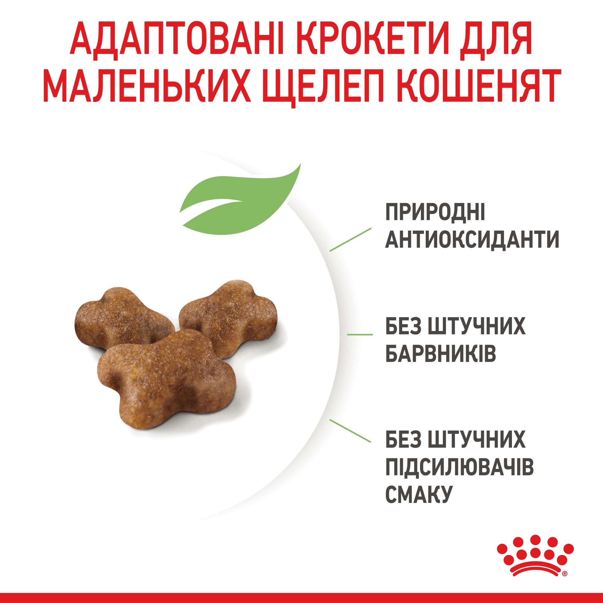 Royal Canin Kitten – сухий корм для кошенят віком від 4 до 12 місяців, 4 кг