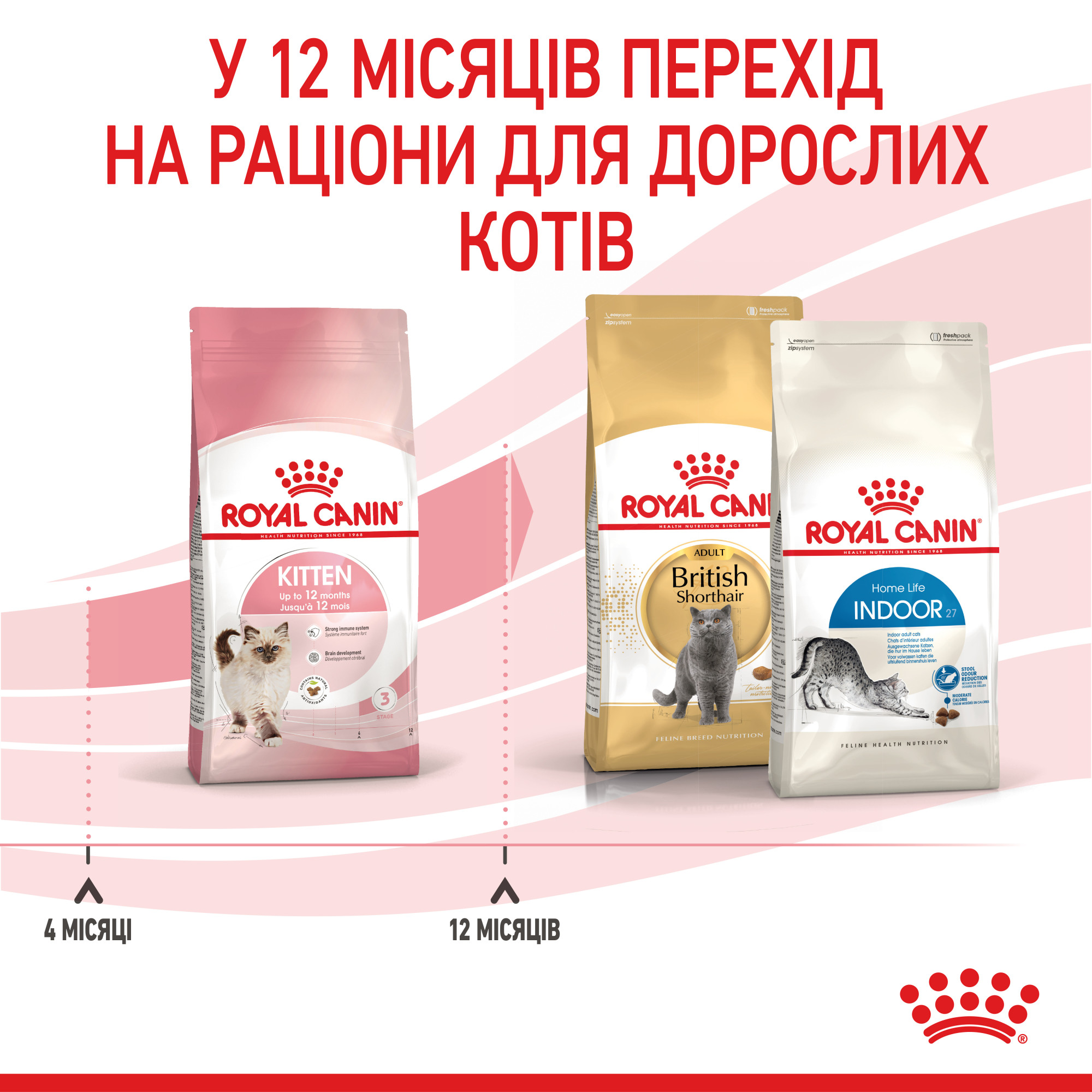 Royal Canin Kitten – сухий корм для кошенят віком від 4 до 12 місяців, 4 кг