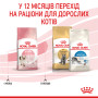 Royal Canin Kitten – сухий корм для кошенят віком від 4 до 12 місяців, 4 кг