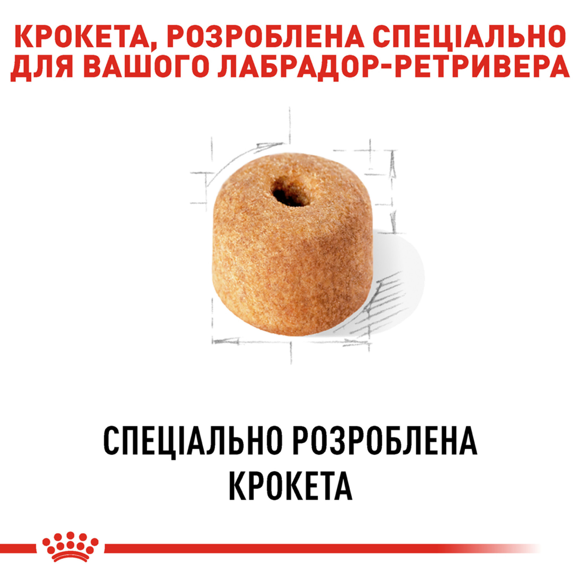 Royal Canin Labrador Retriever Adult – сухой корм для взрослых лабрадор-ретриверов, 12 кг