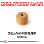Royal Canin Labrador Retriever Adult – сухой корм для взрослых лабрадор-ретриверов, 12 кг