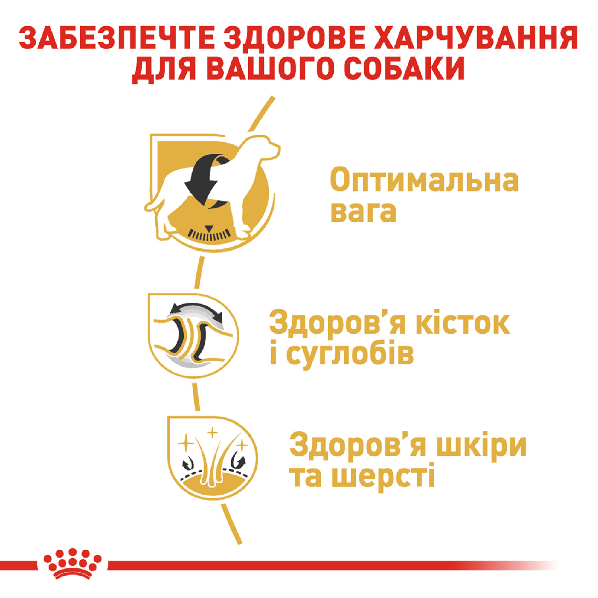 Royal Canin Labrador Retriever Adult – сухой корм для взрослых лабрадор-ретриверов, 12 кг