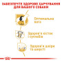 Royal Canin Labrador Retriever Adult – сухой корм для взрослых лабрадор-ретриверов, 12 кг