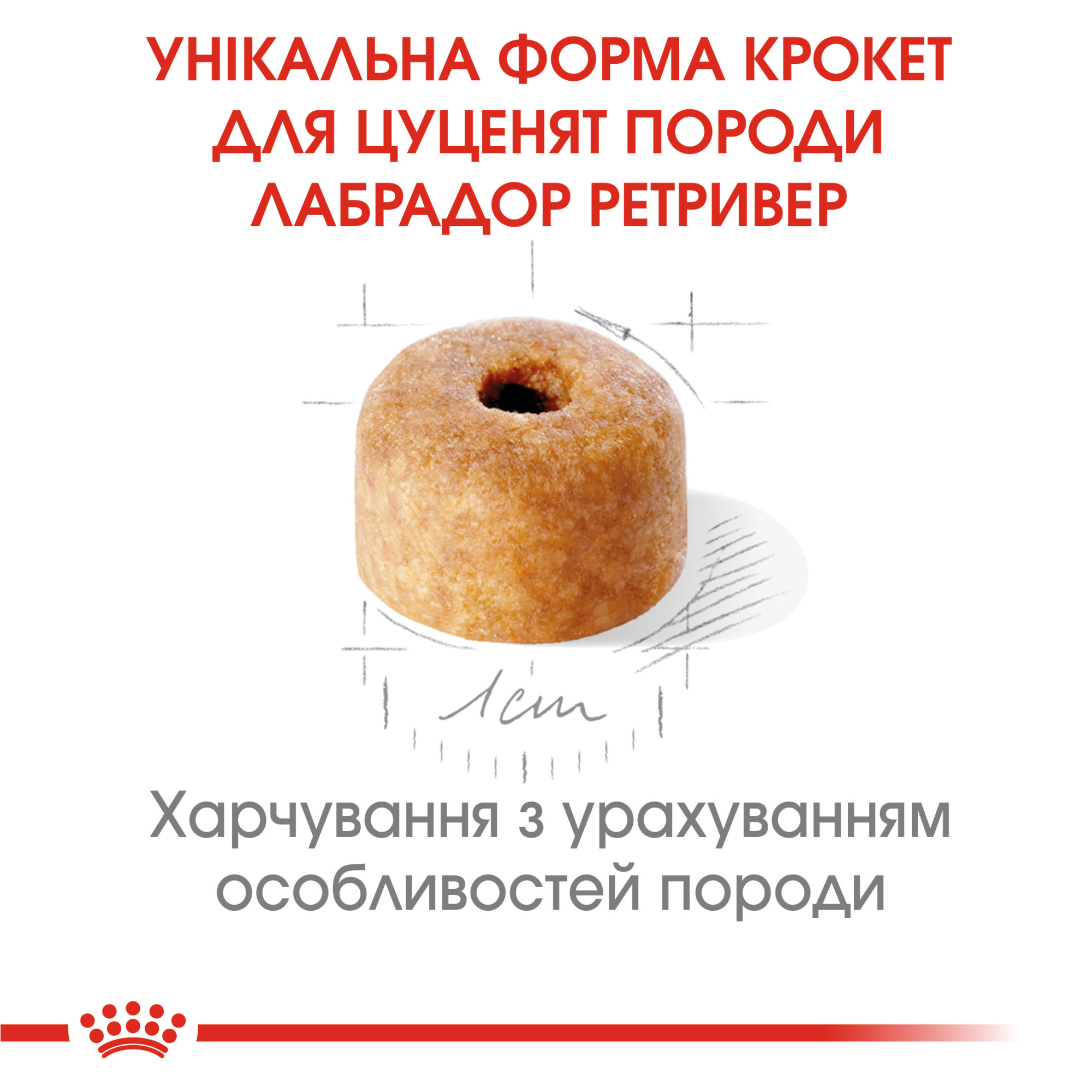 Royal Canin Labrador Retriever Puppy – сухий корм для цуценят лабрадор-ретриверів, 12 кг