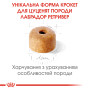 Royal Canin Labrador Retriever Puppy – сухий корм для цуценят лабрадор-ретриверів, 12 кг