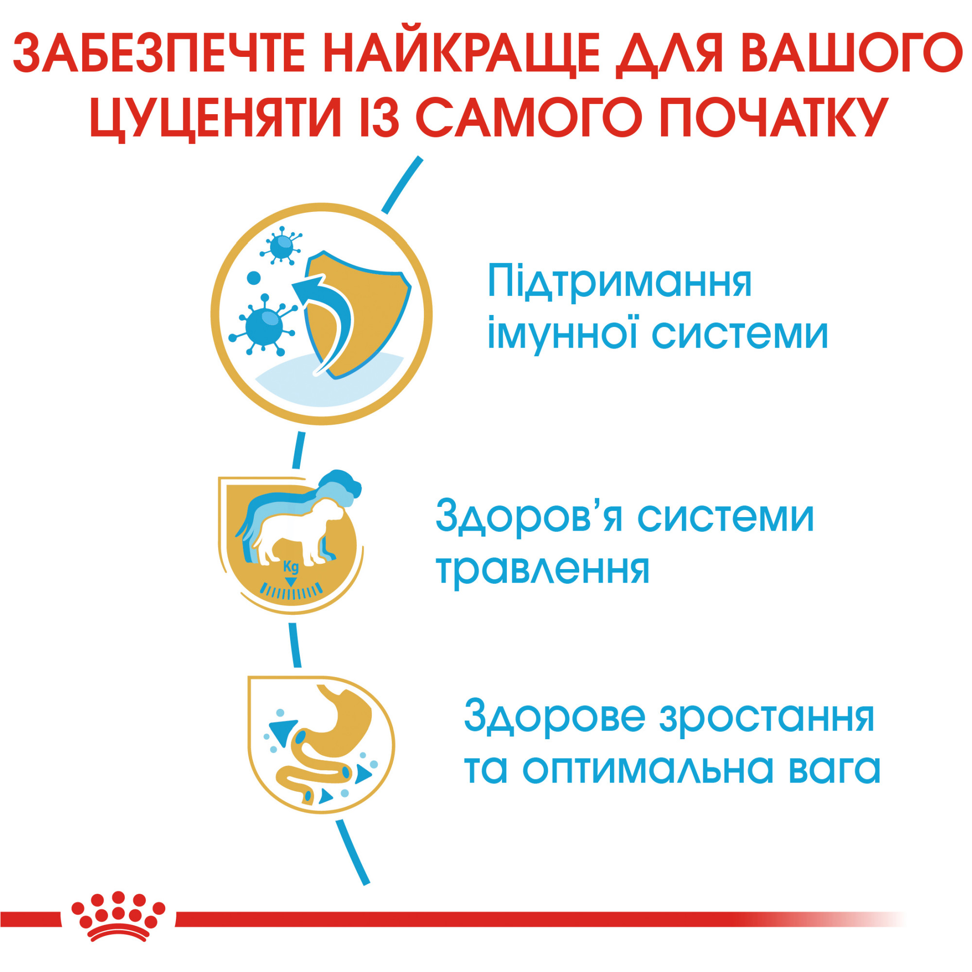 Royal Canin Labrador Retriever Puppy – сухий корм для цуценят лабрадор-ретриверів, 12 кг