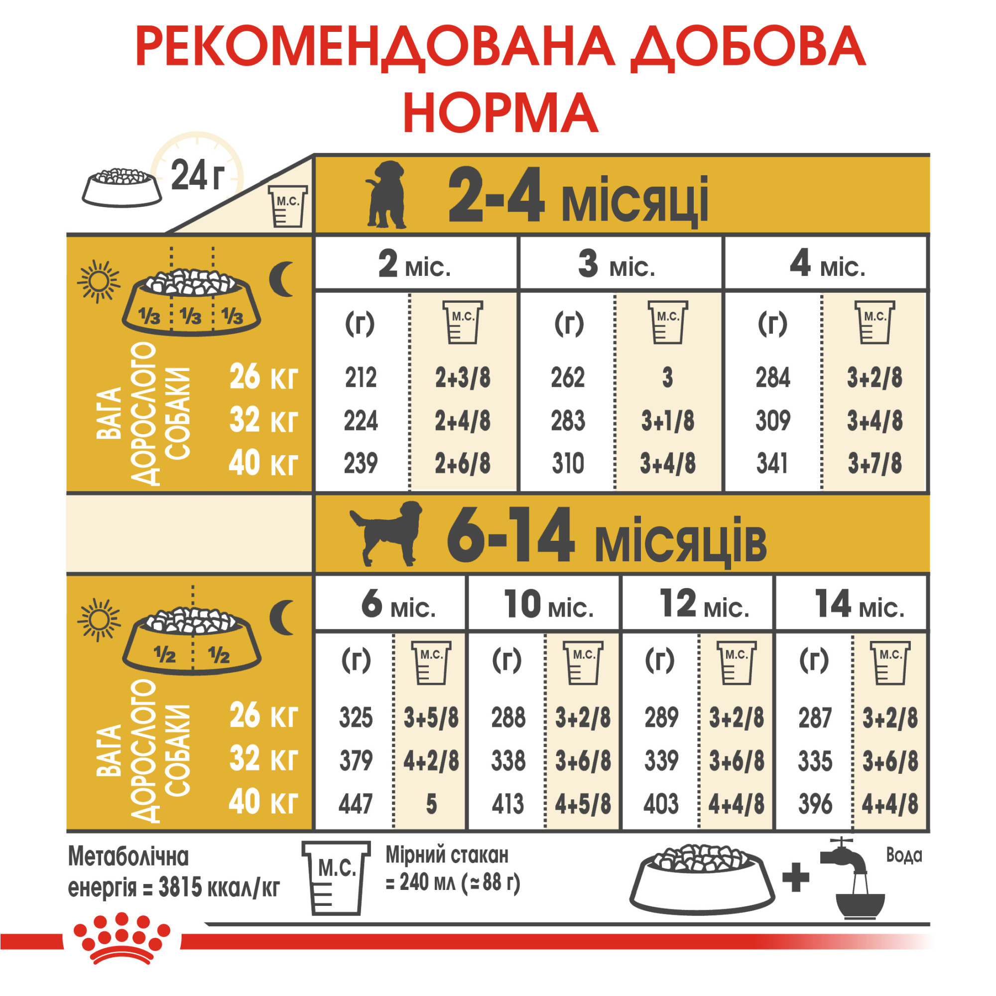 Royal Canin Labrador Retriever Puppy – сухий корм для цуценят лабрадор-ретриверів, 12 кг