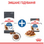 Royal Canin Light Weight Care в соусі для котів, 85 г