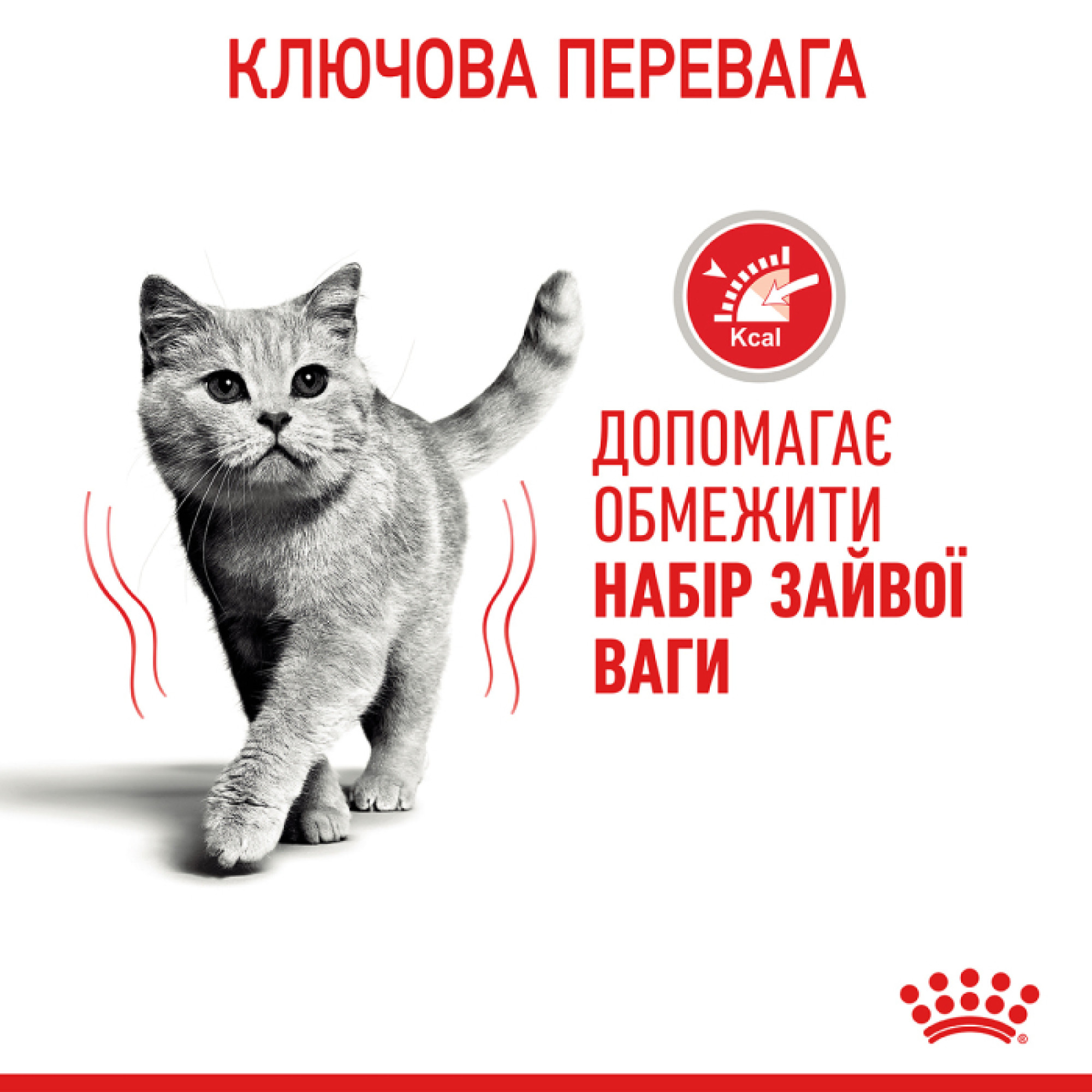 Royal Canin Light Weight Care в соусі для котів, 85 г