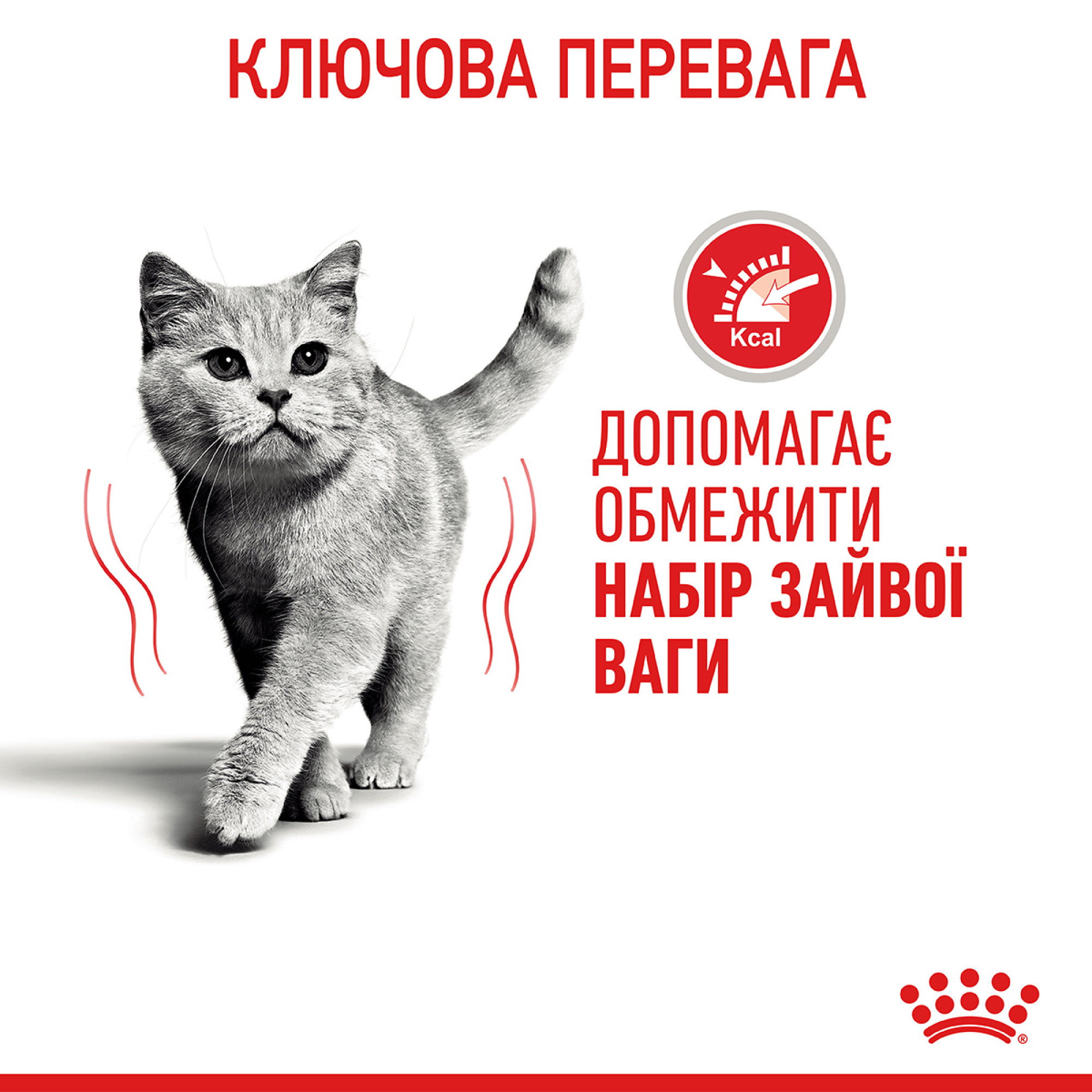 Royal Canin Light Weight Care Feline – сухий корм для котів зі схильністю до набору ваги, 1.5 кг