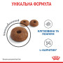 Royal Canin Light Weight Care Feline – сухий корм для котів зі схильністю до набору ваги, 1.5 кг