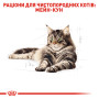 Royal Canin Maine Coon Adult Gravy – вологий корм у соусі для дорослих котів породи мейн-кун, 85 г