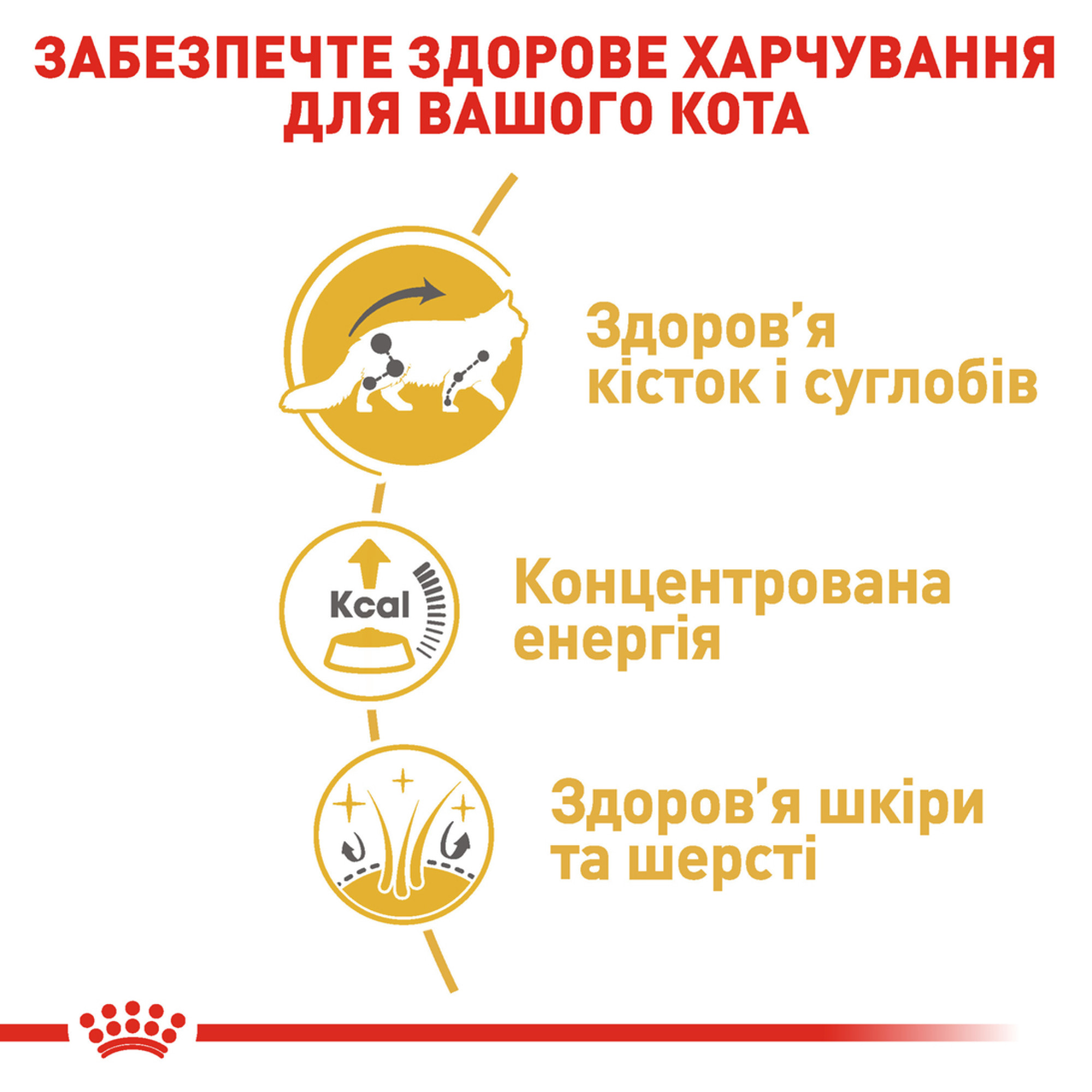 Royal Canin Maine Coon Adult Gravy – вологий корм у соусі для дорослих котів породи мейн-кун, 85 г