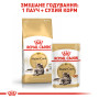 Royal Canin Maine Coon Adult Gravy – вологий корм у соусі для дорослих котів породи мейн-кун, 85 г