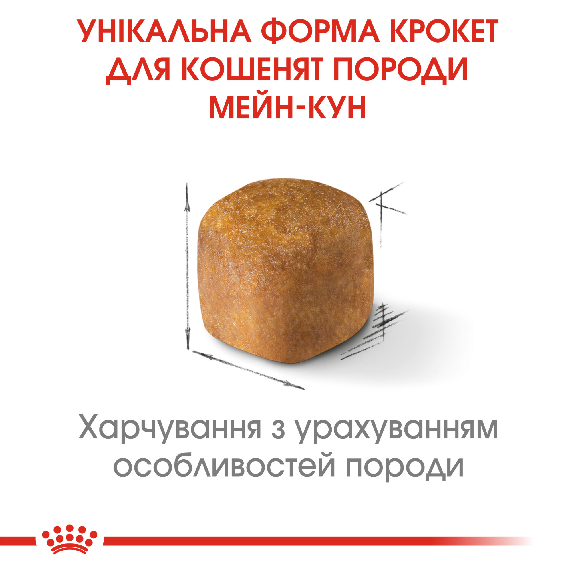 Royal Canin Maine Coon Kitten – сухий корм для кошенят породи мейн-кун віком до 15 місяців, 2 кг