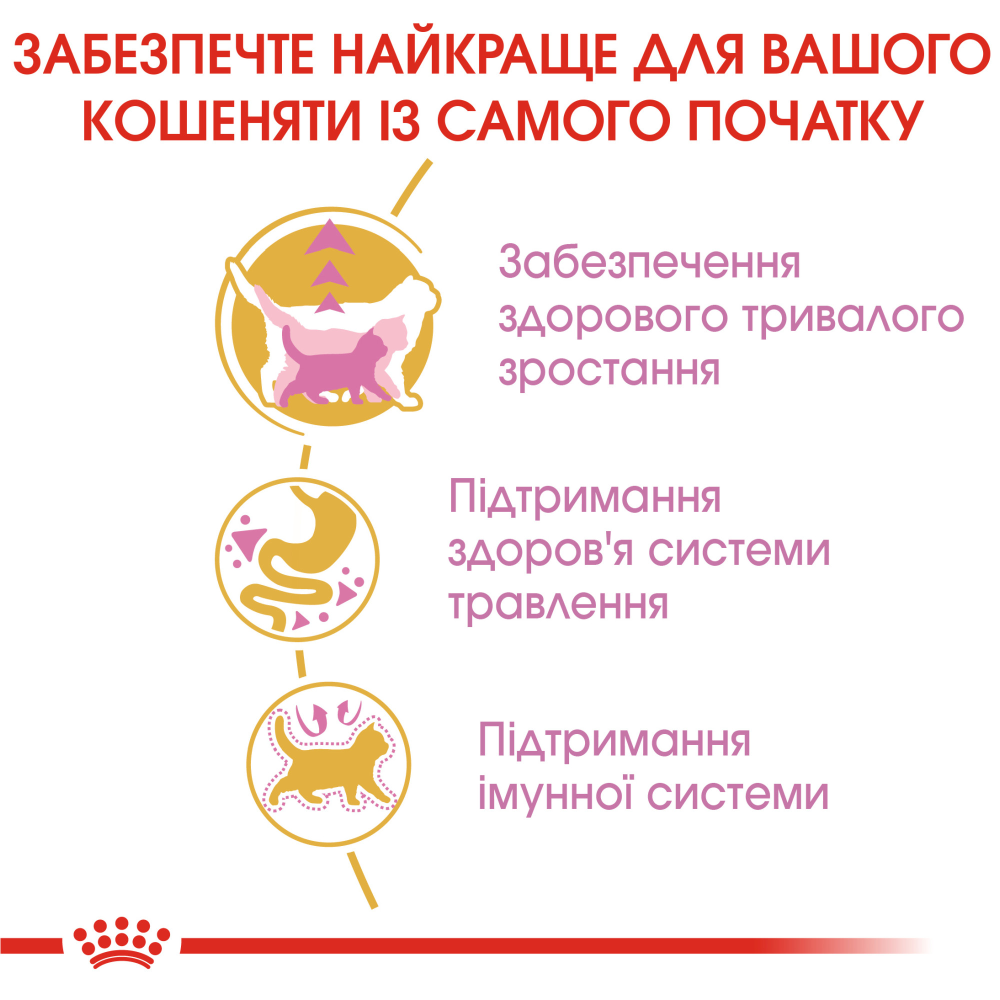 Royal Canin Maine Coon Kitten – сухий корм для кошенят породи мейн-кун віком до 15 місяців, 2 кг