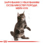 Royal Canin Maine Coon Kitten – сухий корм для кошенят породи мейн-кун віком до 15 місяців, 2 кг