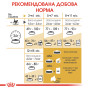 Royal Canin Maine Coon Kitten – сухий корм для кошенят породи мейн-кун віком до 15 місяців, 2 кг