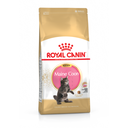 Royal Canin Maine Coon Kitten – сухий корм для кошенят породи мейн-кун віком до 15 місяців, 2 кг Royal Canin Maine Coon Kitten – сухий корм для кошенят породи мейн-кун віком до 15 місяців, 2 кг