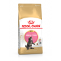 Royal Canin Maine Coon Kitten – сухий корм для кошенят породи мейн-кун віком до 15 місяців, 2 кг
