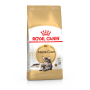 Royal Canin Maine Coon Adult – сухий корм для дорослих котів породи мейн-кун, 4 кг